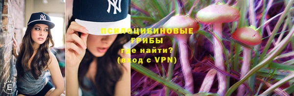 хмурый Слюдянка