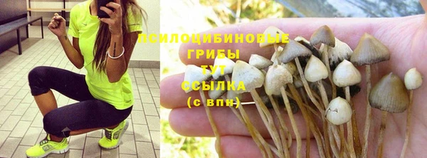гидропоника Белокуриха