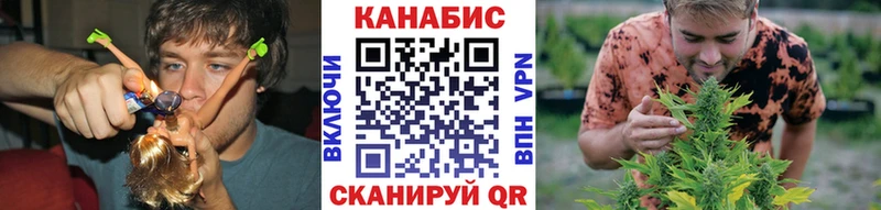кракен зеркало  как найти наркотики  Нерюнгри  Канабис сатива 